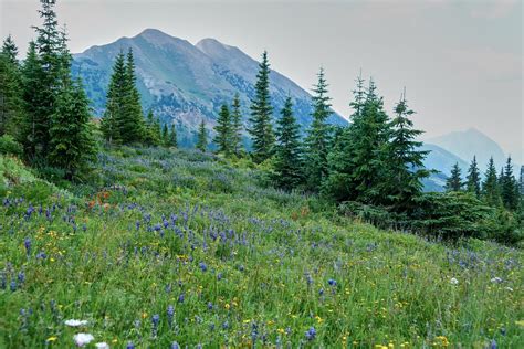 Free Images Meadow Mountain Landscape Nature