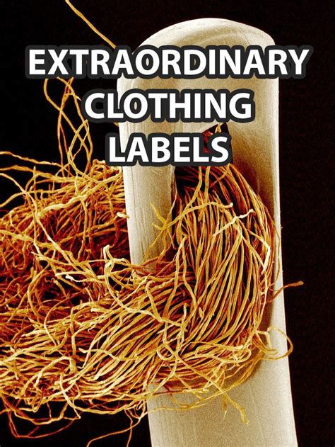 Extraordinary Clothing Labels Rapid Tag Label