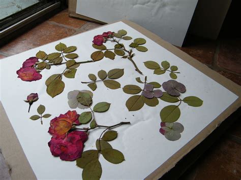 We did not find results for: Make a flower press | Dried Flower Crafts | Pressed ...