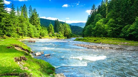 Beautiful River Between Green Grass Field Trees Forest Under Blue Sky