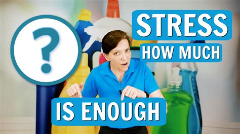 The Right Amount Of Stress For Cleaning Ask A House Cleaner