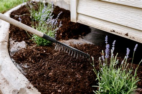What Is Mulch How To Use 8 Types In Your Garden