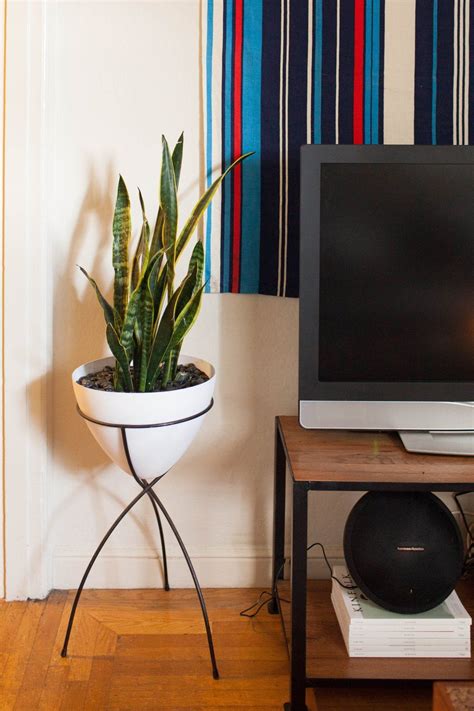 San francisco apartments for rent. Harben & Ryan's San Francisco Rental | House tours, Home ...