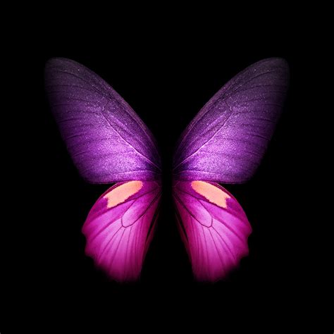 Magenta Wallpaper 68 Pictures Wallpaperset