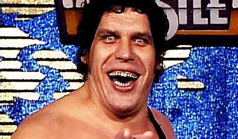 Andre The Giant Remembering The Wwe Legends Legacy