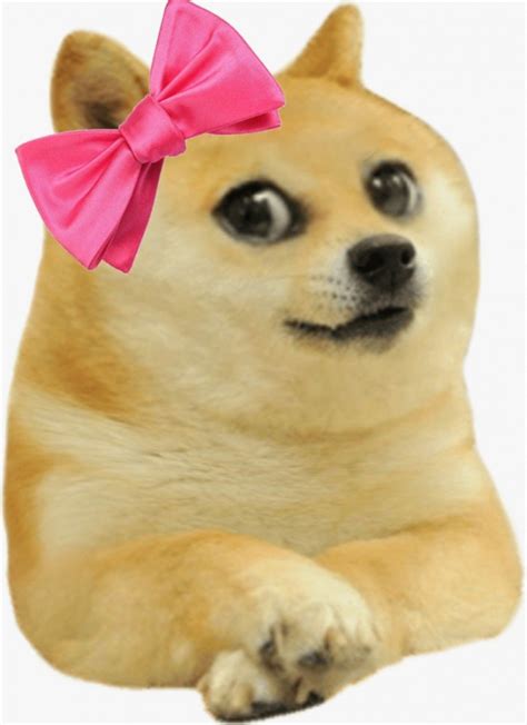 Doge Meme Template Collection