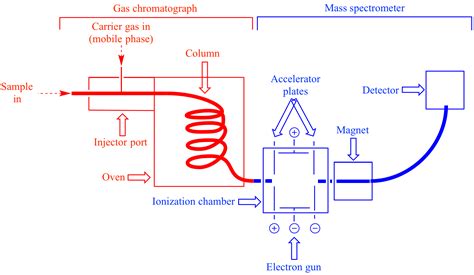 Schematic Diagram Of A Gas Chromatography