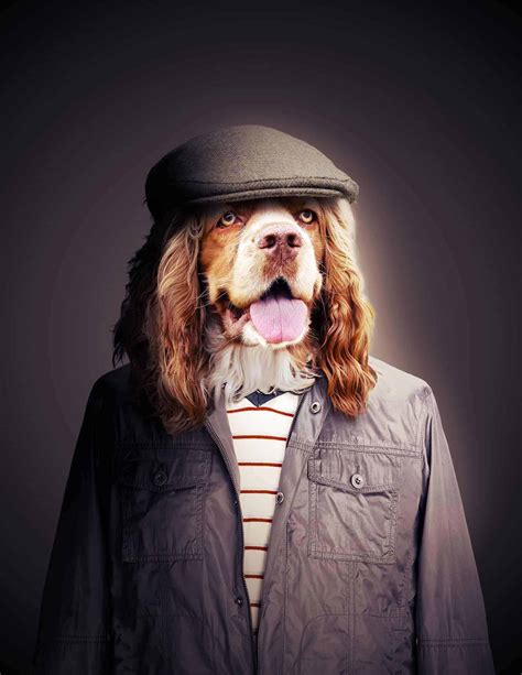 How To Create A Human Portrait Of A Dog In Photoshop Photoshop Tutorials