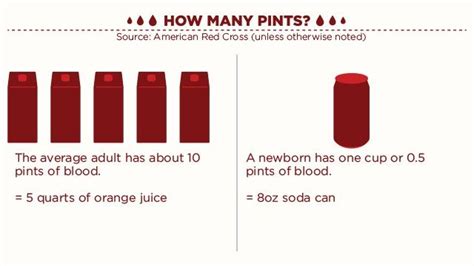 A healthy donor may donate platelets as few as 7 days. how much blood is in the human body: 10 Mind-Blowing Facts!