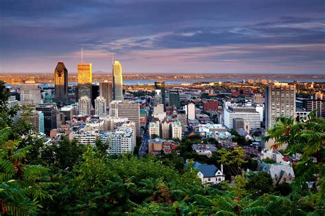 The Best 11 Things To Do In Downtown Montreal
