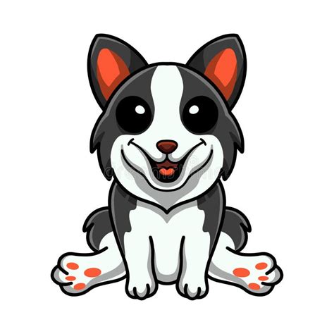 Cute Border Collie Dog Cartoon Sitting Stock Vector Illustration Of