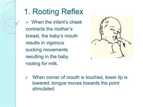 Reflexes Present In Infants