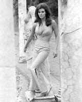 Raquel Welch Full Length Barefoot With Bare Midriff S Pin Up X Photo Collectibles