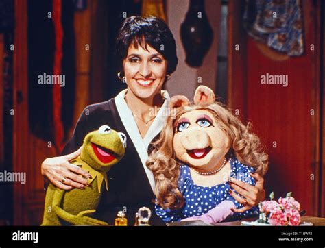 The Muppet Show Fernsehserie Usagroßbritannien 1976 1981