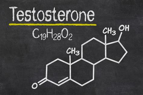 Testosterone — What It Does And Doesnt Do Harvard Health