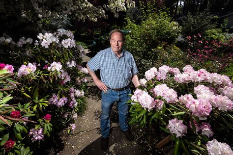 Gardening Caring For Rhododendrons Takes Patience The Spokesman Review