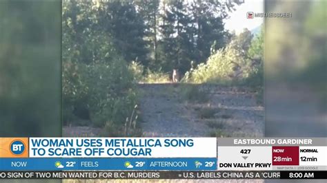 Woman Uses Metallica Song To Scare Off Cougar Youtube