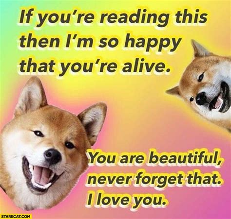 Dog Doge If Youre Reading This Then Im So Happy That Youre Alive