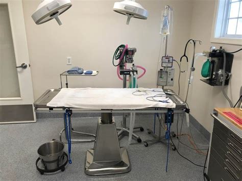 Virginia beach veterinarians dedicated to veterinary excellence. Gallery - Vet in Virginia Beach | Beach Pet Hospital