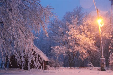 Follow the vibe and change your wallpaper every day! Squash Blossom Farm: Beautiful Blizzard