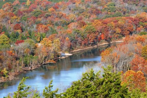 12 Arkansas Forests You Need To Explore In The Fall