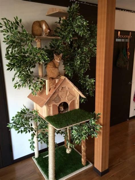 21 Arbres à Chats Vraiment Originaux Cat House Diy Diy Cat Tree Cat