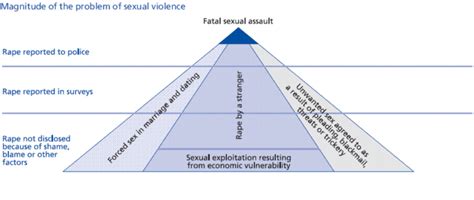 116b Sexual Violence Social Sci Libretexts