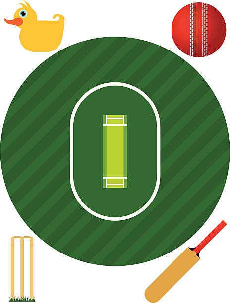 Cricket Field Clip Art Vector Images And Illustrations Istock