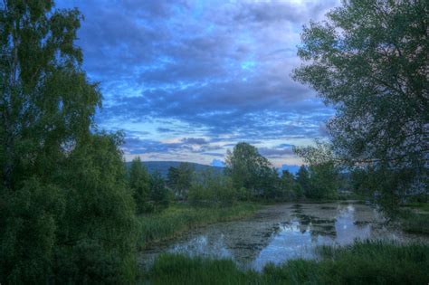 Free Images Landscape Tree Nature Forest Marsh Wilderness Cloud