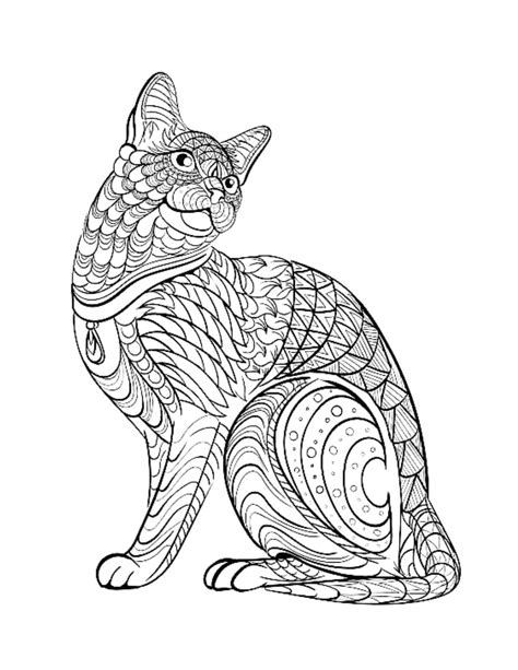 Cat Mandala Coloring Page Color Pet Animals Draw Drawing Paper Digital