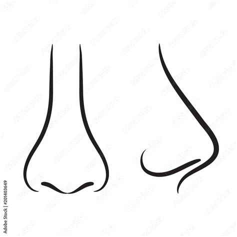 Set Of Hand Drawing Nose Stock Vector Illustration Stock Vector Adobe Stock