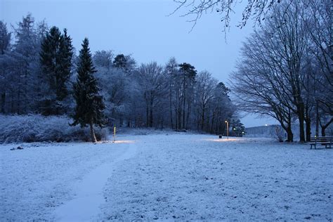 무료 Blue Hour With Snow 스톡 사진 Freeimages