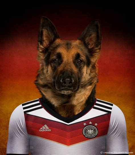 Find the perfect allemagne foot stock illustrations from getty images. Des chiens en maillot de football pour la coupe du monde 2014