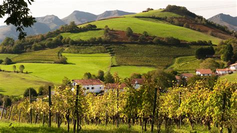 Why the Wines of Southwest France Belong on Every Wine ...