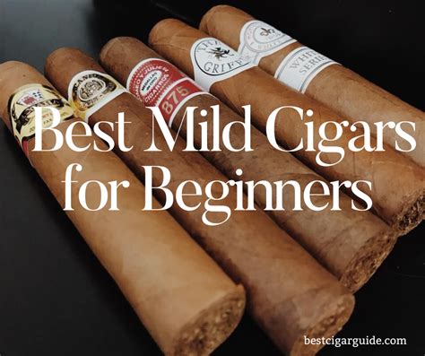 Best Mild Cigars For Beginners In Best Cigar Guide