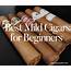 Best Mild Cigars For Beginners In 2021  Cigar Guide