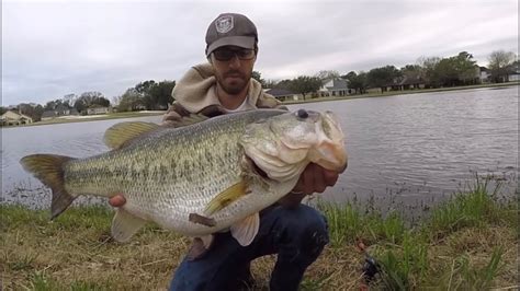 Whats The Biggest Bass Ever Caught Best 28 Answer