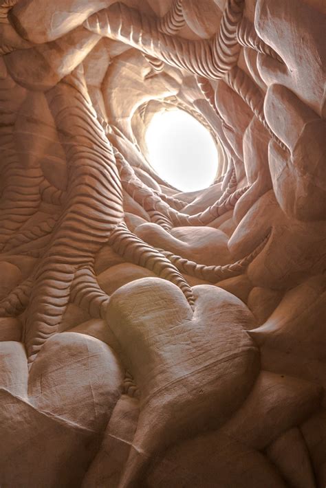 The Tree Of Life Inside The Tree Of Life Cave In Nothern N Flickr