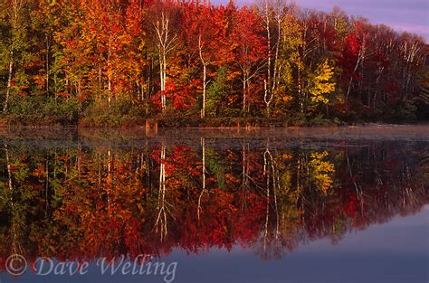 Fall Color In The Upper Peninsula Of Michigan Can Be Spectacular With
