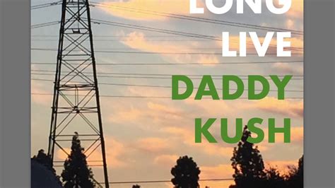 Daddy Kush Lldk Official Youtube