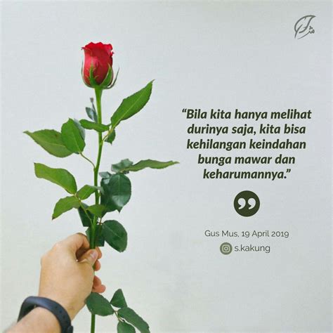 Fantastis 28 Quotes Bijak Tentang Bunga Mawar Gambar Bunga Indah