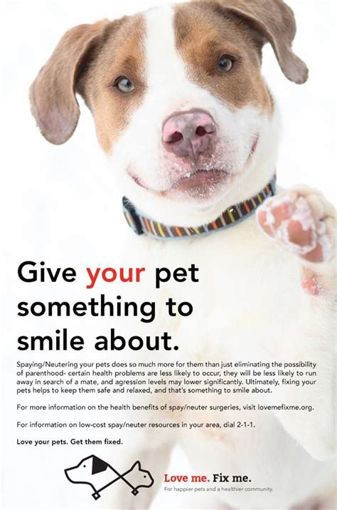 A great spay/neuter campaign from the Indy Humane Society. | Neuter ...