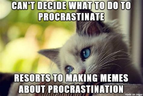 30 Procrastination Memes You Should Read Without Delay