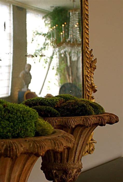 45 Cool Spring Moss Outdoor And Indoor Décor Ideas Digsdigs