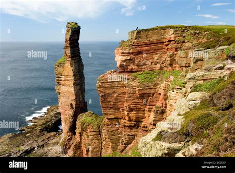 The Old Man Of Hoy A 450 Tall Sea Stack On The Isle Of Hoy Orkney