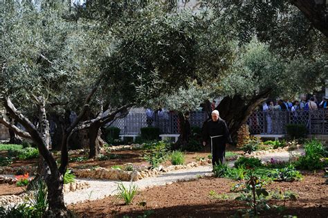 It is his 4th feature film. Garden of Gethsemane: History and Archaeology