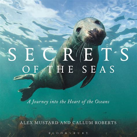 Book Review Secrets Of The Seas Undercurrent 012017
