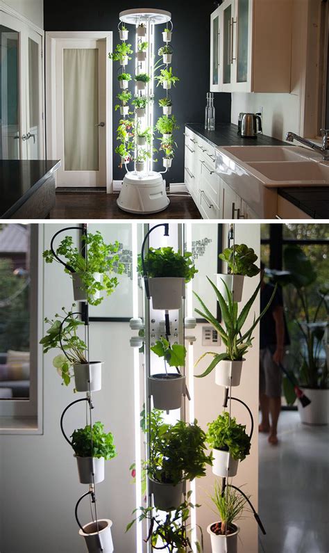 Indoor Kitchen Garden Ideas Sitting Room Herb Wall Small