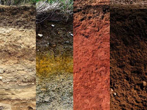 Types Of Soil Profiles