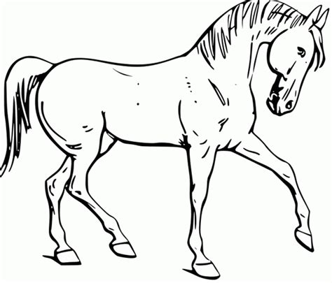 Fun Horse Coloring Pages For Your Kids Printable